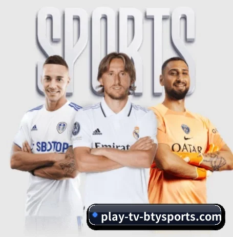 必一体育 APP | b one sports